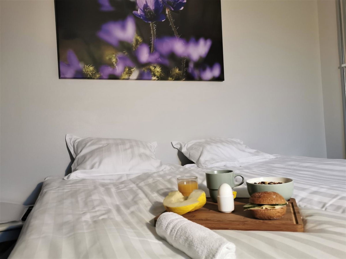 Broholm Bed&Breakfast, Suède