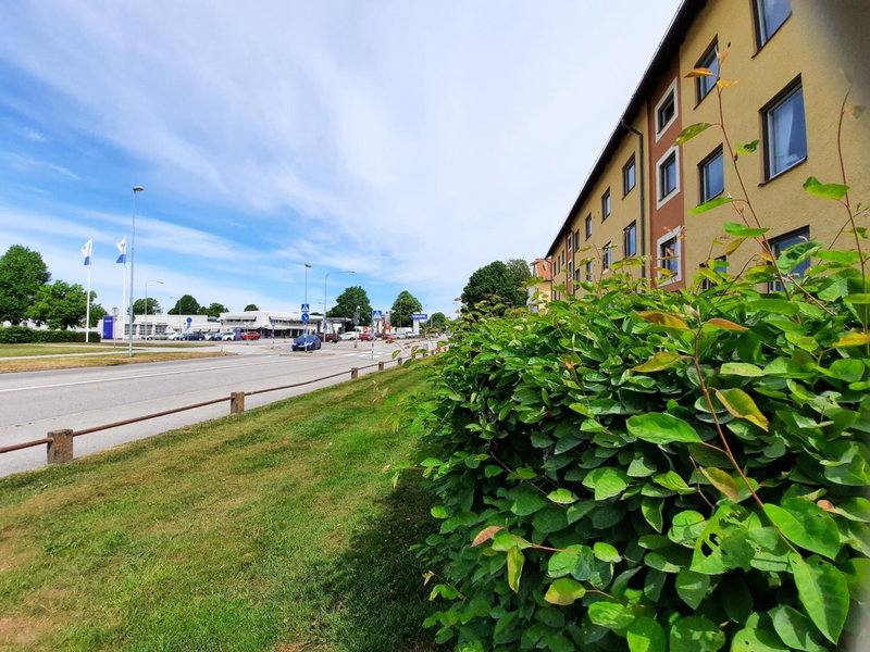Broholm Bed&Breakfast, Lidkoeping, Suède
