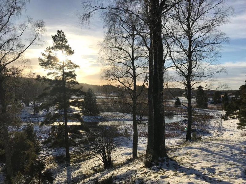 Drängstugan i Humla, Falkoeping, Sweden