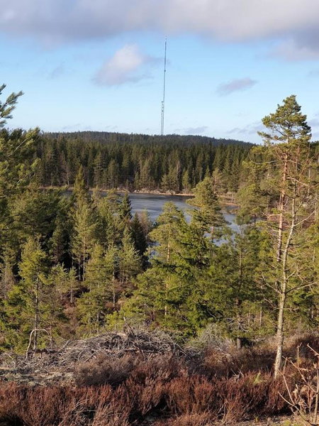 Lillesjö stuguthyrning, Bäckefors, Sweden