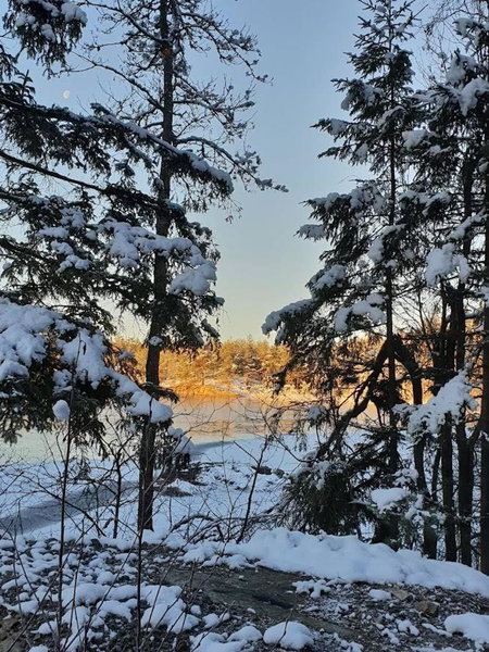 Lillesjö stuguthyrning, Bäckefors, Sweden