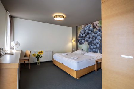 Hotel Lidový dům, Bzenec, Tschechien