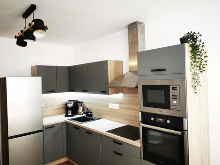 Apartmán Mlýnská Strouha, Plzeň, Czechia