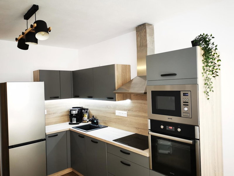 Apartmán Mlýnská Strouha, Plzeň, Czechia