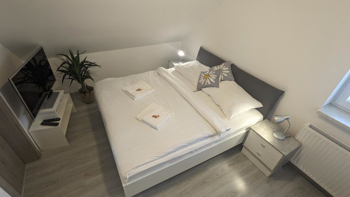 Hotel · Penzion Janoušek Motorsport Český Krumlov, Přísečná