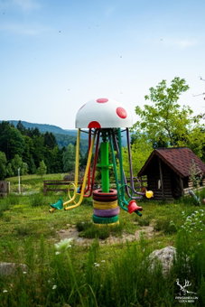 Pensiunea LIN COTA 1000, Breaza, Romania