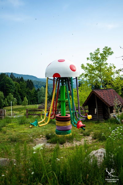Pensiunea LIN COTA 1000, Breaza, Romania