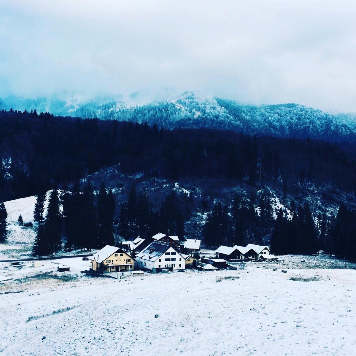 Hotel · Poiana Cristian, Poiana Brasov
