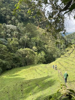 Sazagua Reserva Natural Cocora, Salento, Colombia