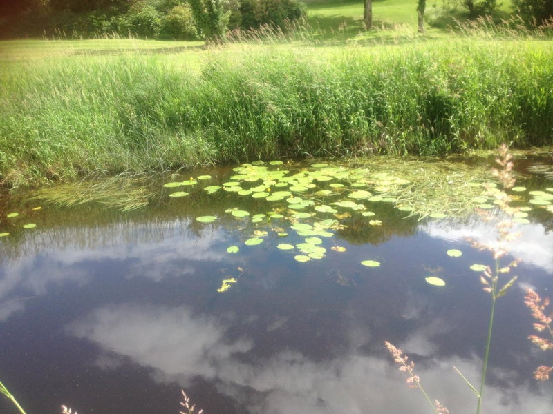 Woodside Self Catering Lough Rynn, Mohill, Ireland