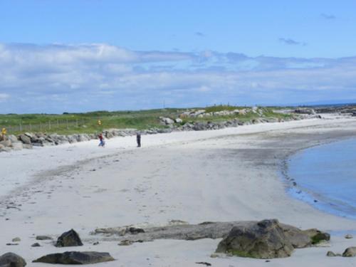 An Crann Glas, Galway, Irlanda