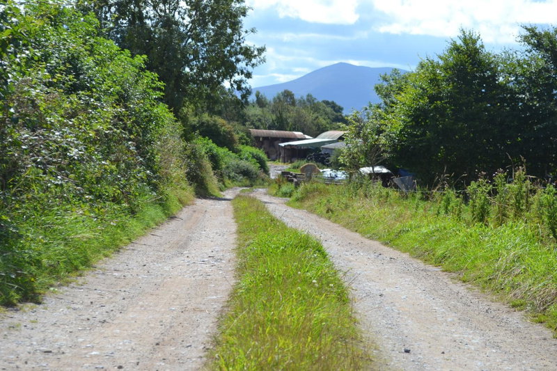 Annaswood B&B & Tours, Cluain Meala, Irland