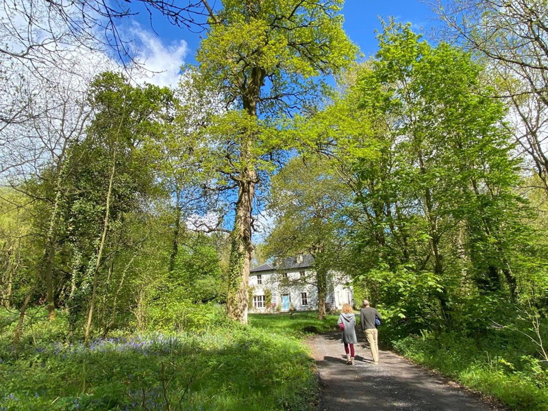 Blackhill Woods Retreat, Abbeyleix, Ireland