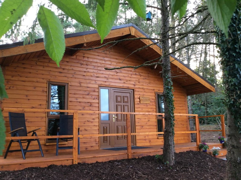 Butterfly cabin, Limerick, Irlande