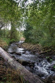 Deerbrook House B&B, Cluain Meala, Irlande