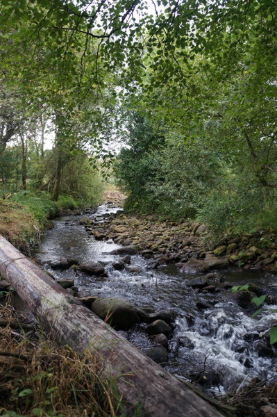 Deerbrook House B&B, Cluain Meala, Irlande