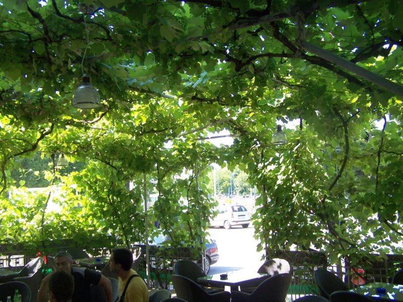 Guest House Ivac Inn Zagreb Airport, Croatia