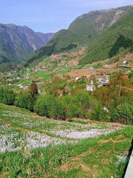 Sognevegen 2242, Haugsvær, Norway