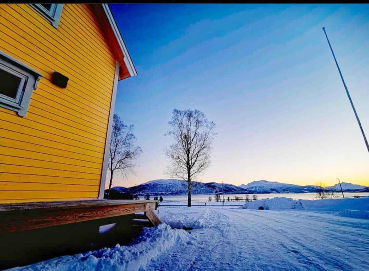 Hotel · 1 Room in The Yellow House, close to Airport & Lofoten, Evenskjer