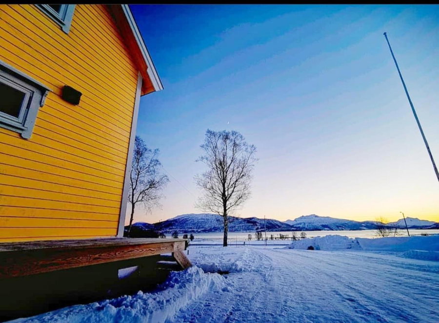 1 Room in The Yellow House, close to Airport & Lofoten, Evenskjer, Norway