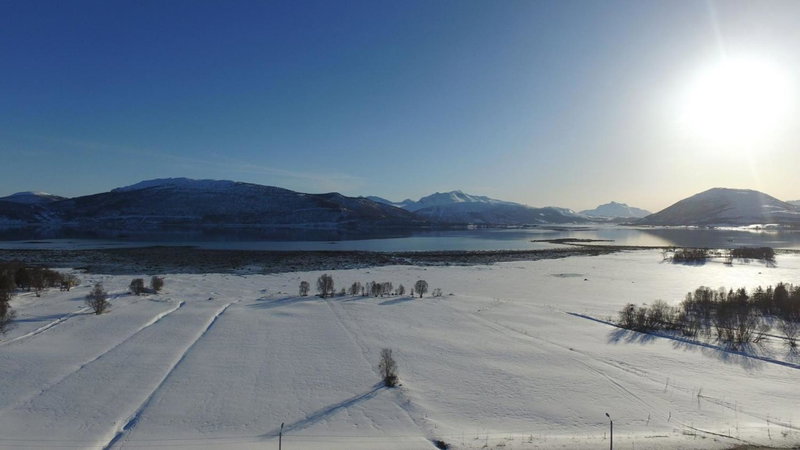 1 Room in The Yellow House, close to Airport & Lofoten, Evenskjer, Norway