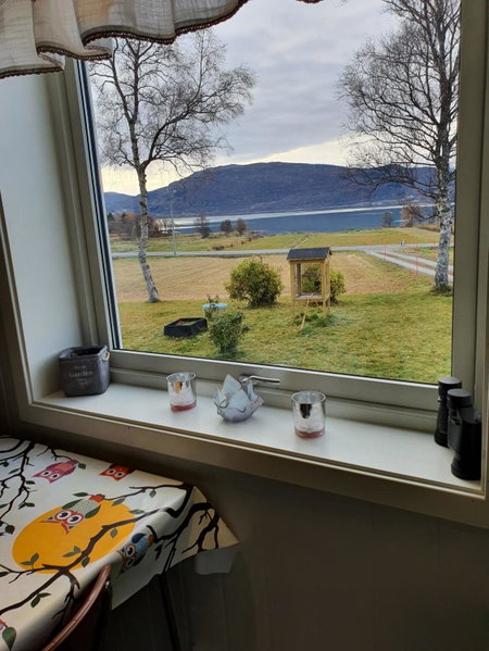 1 Room in The Yellow House, close to Airport & Lofoten, Evenskjer, Norway