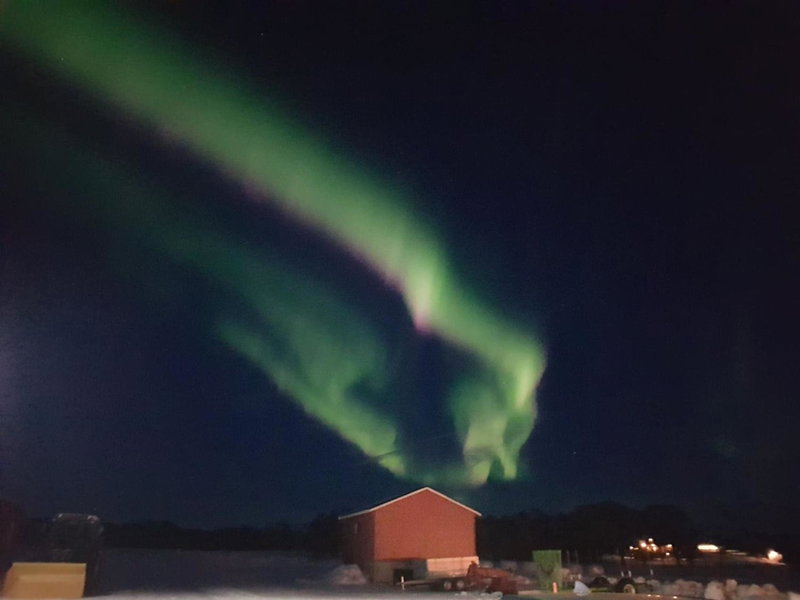 1 Room in The Yellow House, close to Airport & Lofoten, Evenskjer, Norway