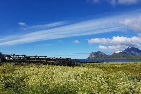 Lofoten- Enjoy the Nature-With a beautiful beach, Napp, Norway