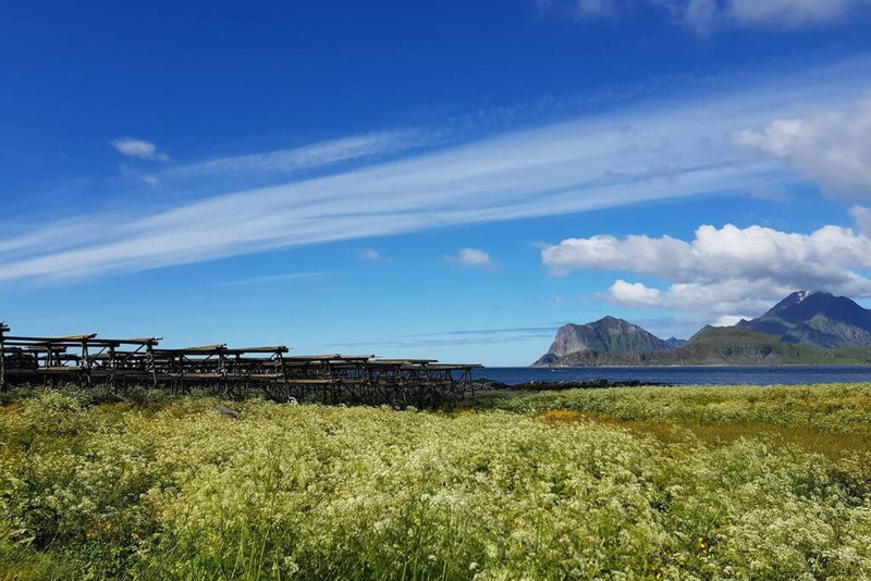 Lofoten- Enjoy the Nature-With a beautiful beach, Napp, Norway