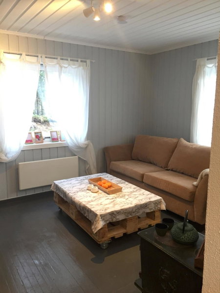 Koselig Hytte i Hemsedal with outdoor Sauna, Hemsedal, Norway