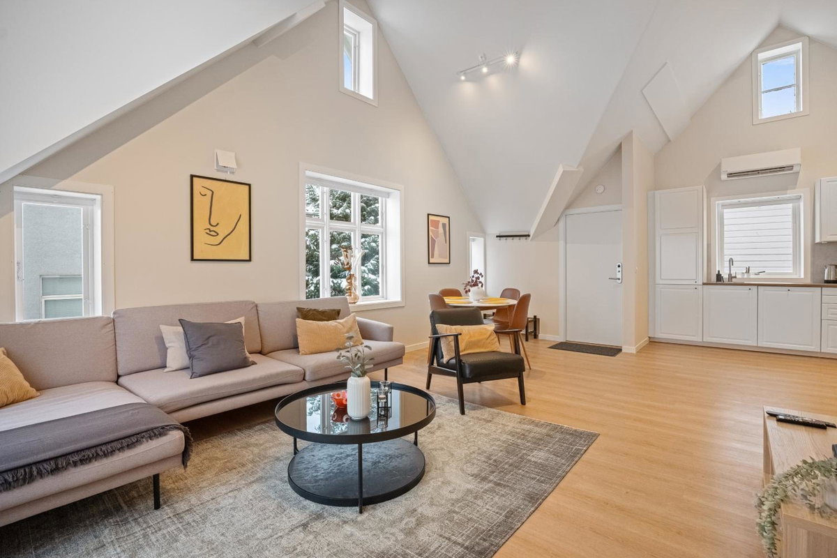 Unique and Spacious Apt close to City Centre, Norway