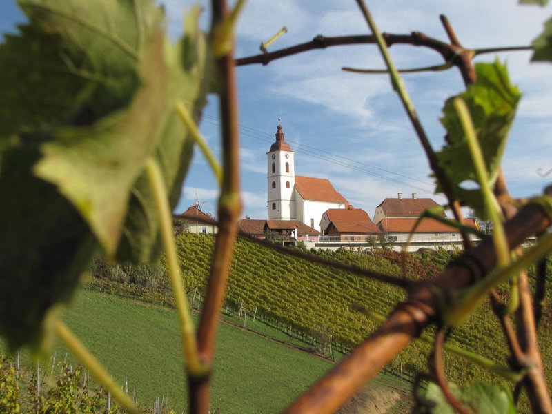 Homestay Kapl, Ledinek, Eslovenia