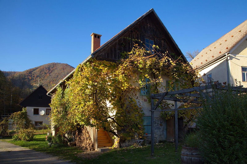 Vintage House Podliparska, Fara, Slowenien