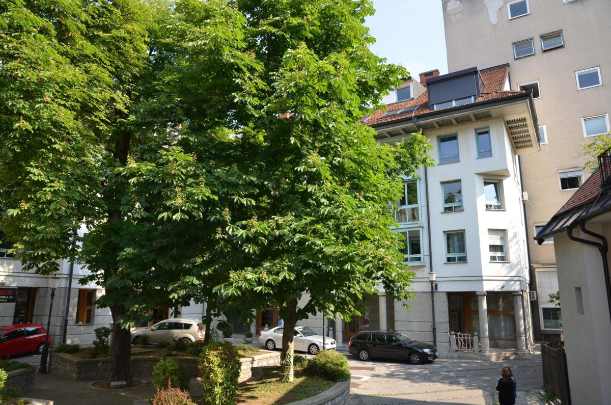 i Design Studio, Slovenia