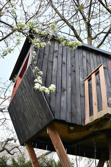 Lesnavesna designer Apartment with a garden, Visoko, Eslovenia