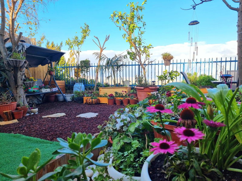 Pleasant Cozy Sunny Room with Garden, Jerusalem, Israel