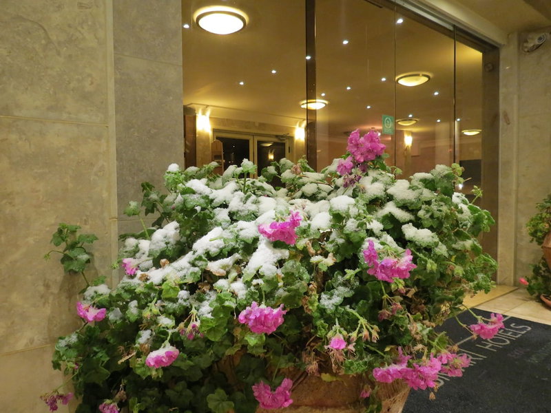 Ramon Suites Hotel, Ramat Negev, Israel