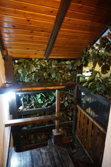 Passion Fruit Apartment, Ashkelon, Israel