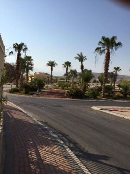הבית של דרורי, Neve Zohar, Israel