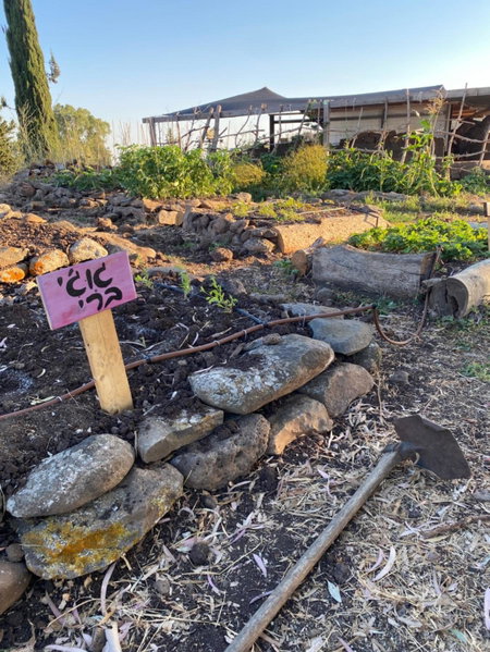 suite truck- Natura Eco farm, Tiberias, Israel