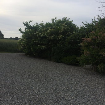 Thorupgaard Farm Holiday, Stenum, Denmark
