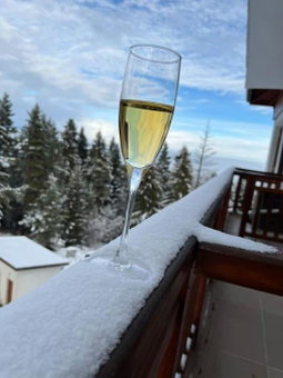Apartment for rest in Borovets, Borovets, Bulgaria