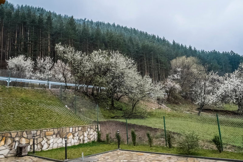 Mini Complex Rilski Terasi, Dupnitsa, Bulgaria