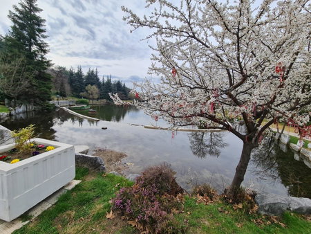 Riverpark Holiday Apartment, Sandanski, Sandanski, Болгария
