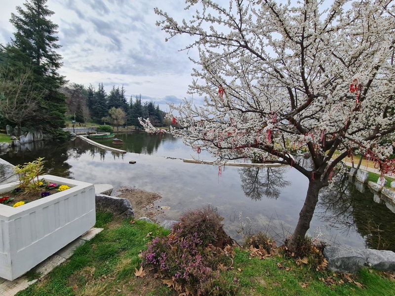 Riverpark Holiday Apartment, Sandanski, Sandanski, Болгария