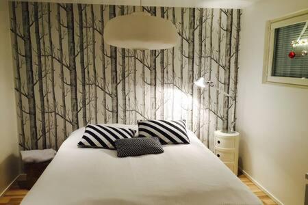Scandinavian Style Villa, Rovaniemi, Finland