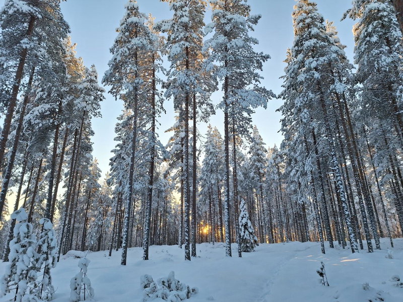 Villa Aleksi with Sauna, Rovaniemi, Finland