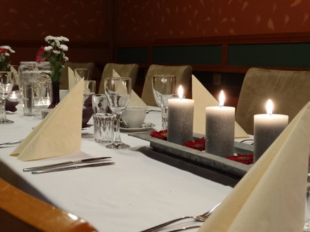 Botnia Hotel & Restaurant, Kruunupyy, Finnland