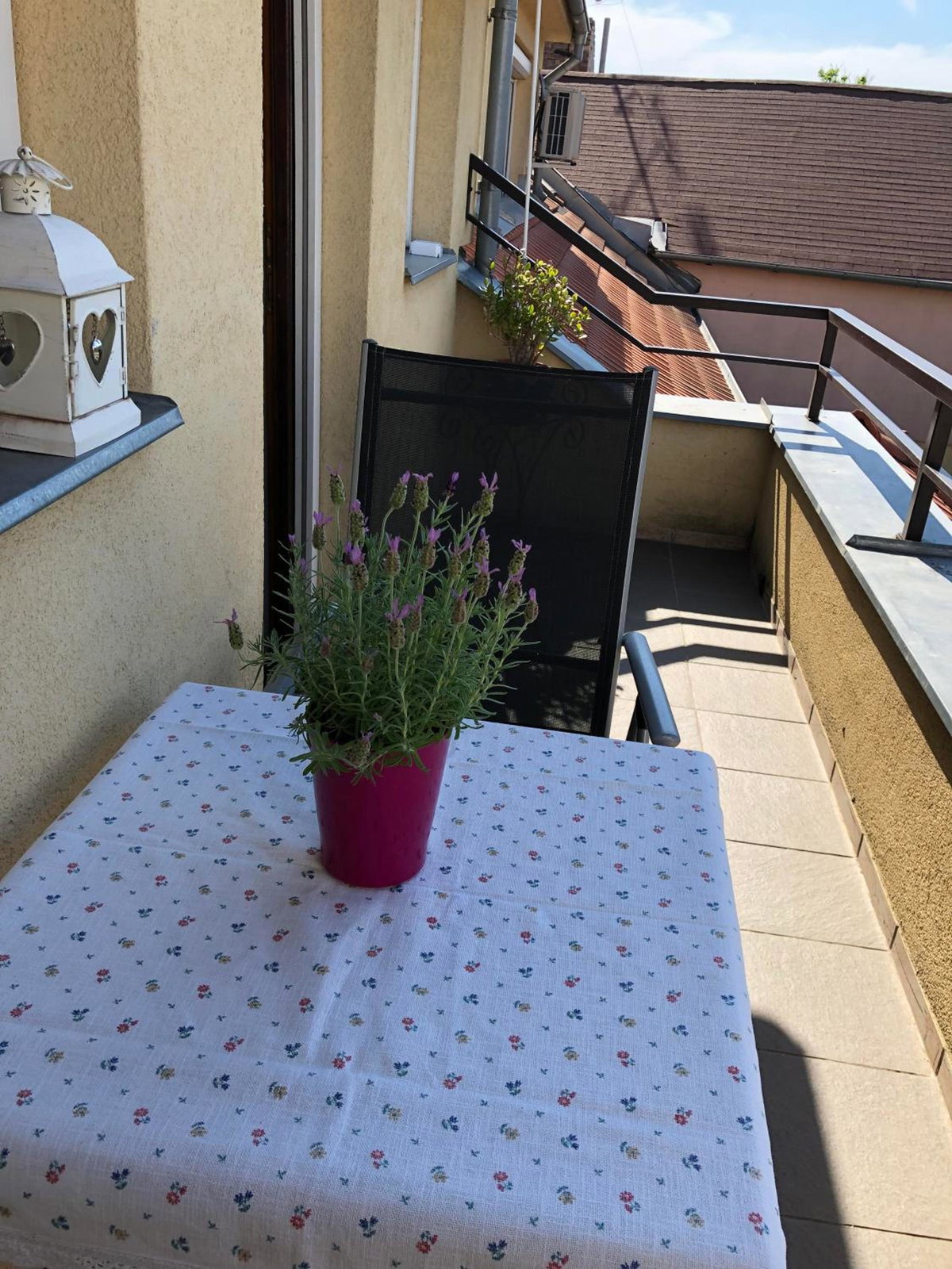 Hotel · Apartmán Silvia, Komarno