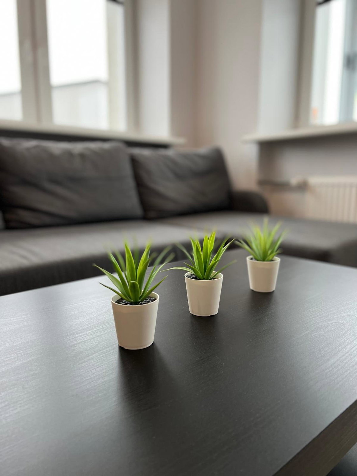 Akmene Center Apartment, Lithuania